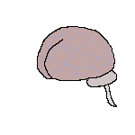 brain_edited-1