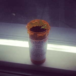 Screen Shot 2013-07-29 at 7.10.38 PM